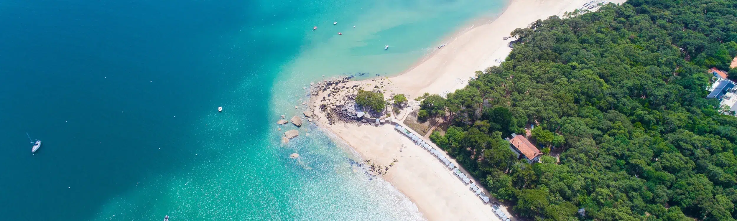 discover the vendee