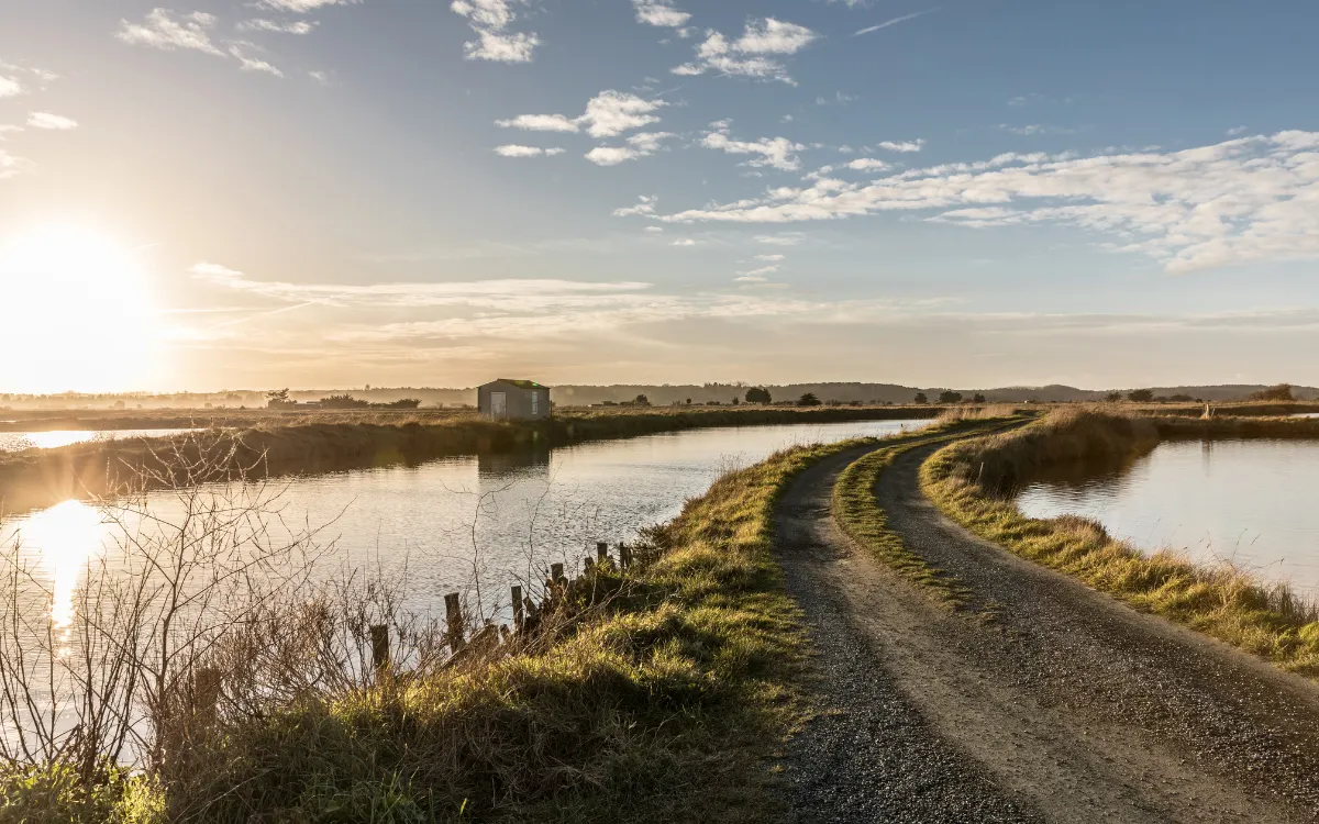 marais d’Olonne, un écrin naturel préservé aux Sables d’Olonne